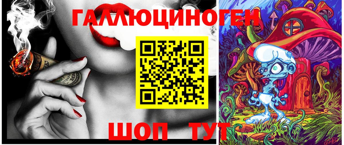 Галлюциногенные грибы мухоморы Гусиноозёрск