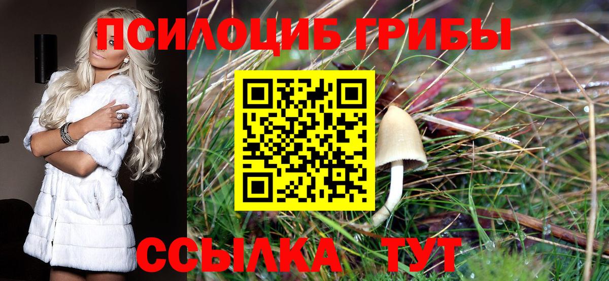 Галлюциногенные грибы Psilocybe  даркнет сайт  Гусиноозёрск  Вход с VPN  Галлюциногенные грибы Psilocybine cubensis 