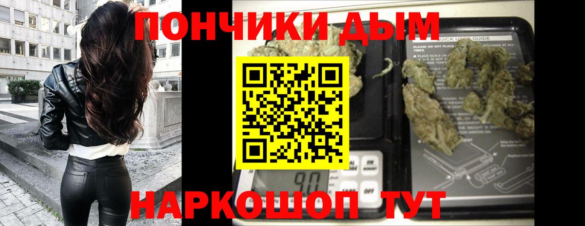 Шишки марихуана планчик Гусиноозёрск